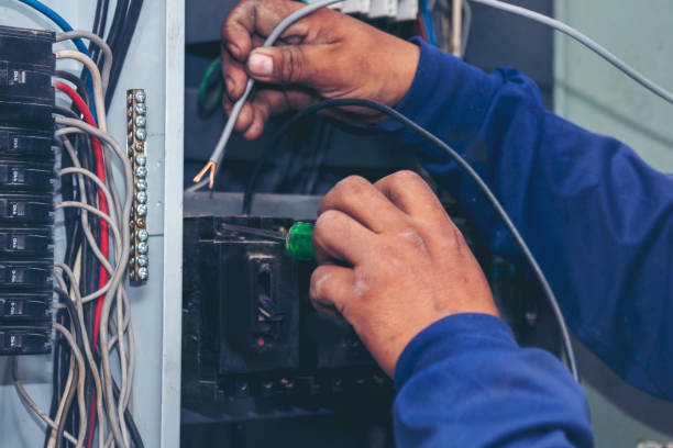 Best Electrical Upgrades for Homes  in Howard City, MI